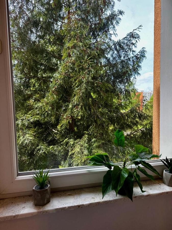 #7 Uroczy Pokoj Niedaleko Morza W Gdansku ! Apartment Exterior photo